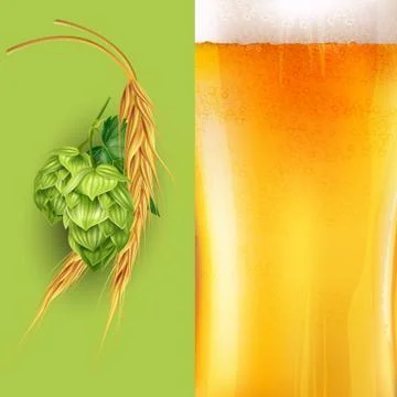 Hops, malt and beer. Vector illustration Stock Illustration