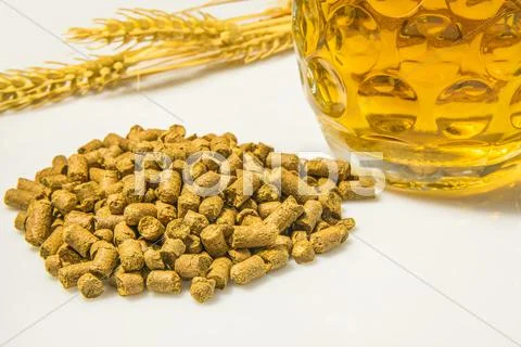 Hops pellets with beer glass Stock Photos