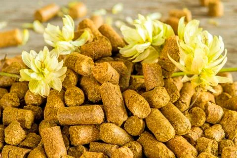 Hops pellets Stock Photos