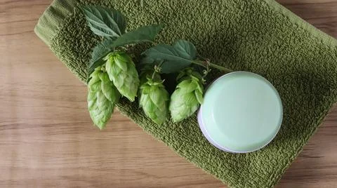 Hops placed next to a light green container on a green towel on a wooden surface Stock Photos