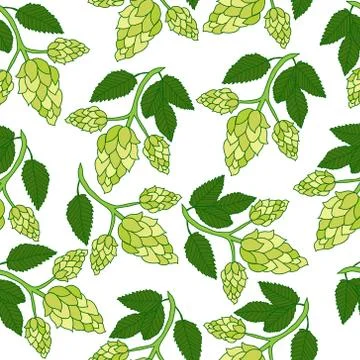 Hops plant seamless pattern, hand drawing style. Hops background. Hops wall.. Stock Illustration