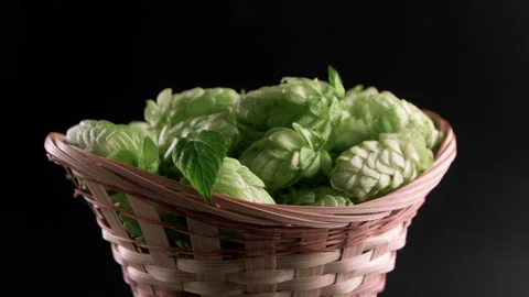 Hops In A Wicker Basket Video stock 169936066