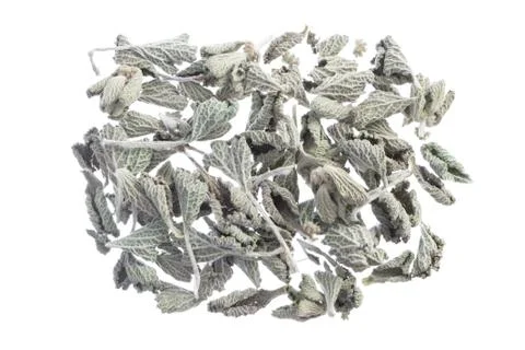 Horehound herb Stock Photos