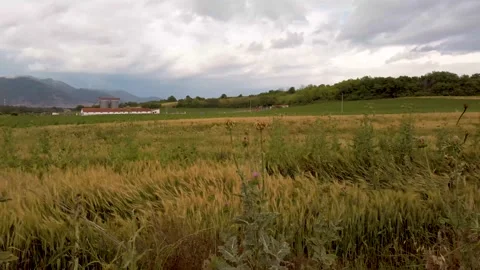 Horisti Fields Pan3 Stock Footage 132699234