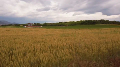 Horisti Fields Pan5 Stock Footage 132699045