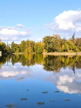 A horizon of autumn trees and clouds reflected in the smooth water of a pond Stock Photos
