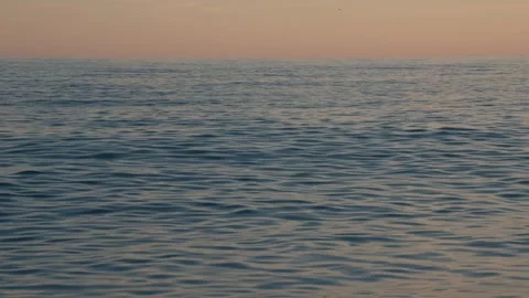 The horizon line separating the small blue sea waves and the pink sunset sky Video stock 301391080