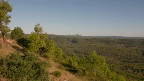 Horizon over the forest of Spain Stock Footage 156528153