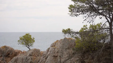 Horizon through rocks 스톡 동영상 55492922