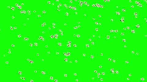 Horizon your recording with graphic elements on a green screen with flying .. Stock Footage 304055335