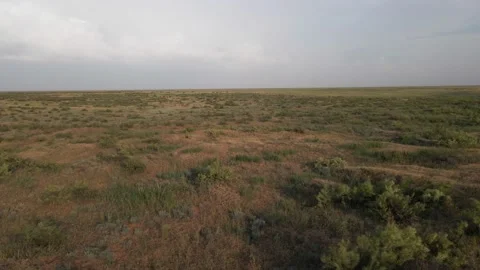 Horizonless Plain with Grass and Shrubs in Kalmykia, Russia. Aerial View Stock Footage 156448306