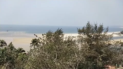 Horizont sea side review Video stock 238757397