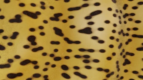 Horizontal 3d abstract cheetah leopard animal fur pattern banner template Stock Footage 327727001