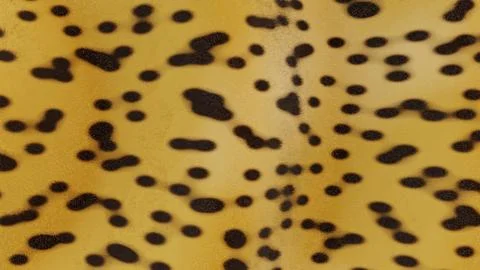 Horizontal 3d abstract cheetah leopard animal fur pattern banner template Stock Illustration