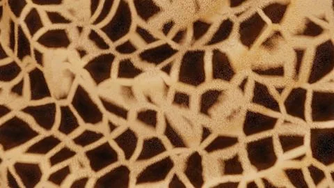 Horizontal 3D abstract giraffe animal fur fabric pattern banner template Stock Illustration