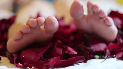 Horizontal 4K defocused video close up. Bare female legs kick red rose petals Video stock 314506080