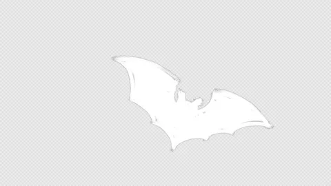 Horizontal 4K intro video. Black bat is flying on transparent. Alpha channel Stock Footage 313912299