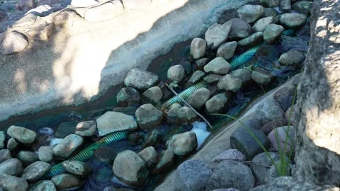 Horizontal 4K video of an artificial stream with decorative rocks Stock Footage 342078263