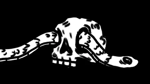 Horizontal 4K video. White snake crawls into human dead man skull on black Stock Footage 313813138