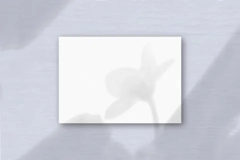 A horizontal A4 sheet of white textured paper on the lilac wall background. M Stock Illustration