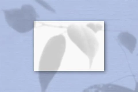 A horizontal A4 sheet of white textured paper on the blue wall background. Mo Stock Illustration