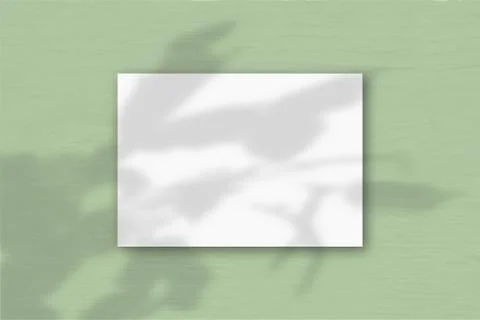 A horizontal A4 sheet of white textured paper on the green wall background. M Stock Illustration