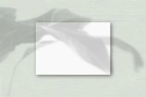 A horizontal A4 sheet of white textured paper on the grey wall background. Mo Stock Illustration