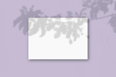 A horizontal A4 sheet of white textured paper on the lilsc wall background. M Illustrazione stock