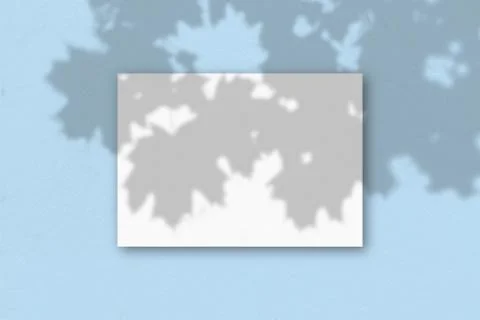 A horizontal A4 sheet of white textured paper on the blue wall background. Mo Stock Illustration