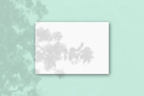 A horizontal A4 sheet of white textured paper on the light green wall backgro Stock Illustration