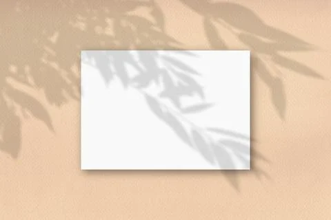 A horizontal A4 sheet of white textured paper on the yellow wall background Stock-Illustration