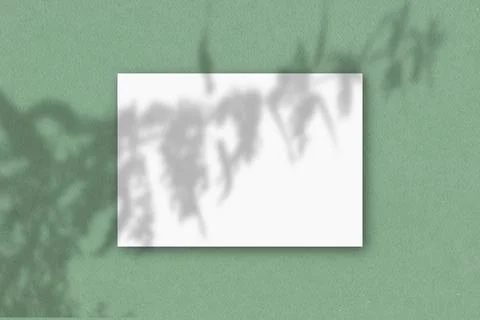 A horizontal A4 sheet of white textured paper on the green wall background Stock Illustration