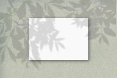 A horizontal A4 sheet of white textured paper on the green wall background Stock Illustration