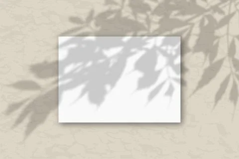 A horizontal A4 sheet of white textured paper on the gray wall background Stock Illustration