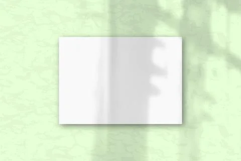 A horizontal A4 sheet of white textured paper on he soft green wall backgroun Stock Illustration