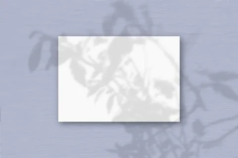 A horizontal A4 sheet of white textured paper on the lilac wall background. M Stock Illustration
