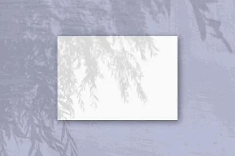 A horizontal A4 sheet of white textured paper on the blue wall background. Mo Stock Photos