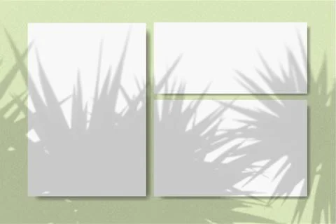 Horizontal and vertical sheets of white textured paper against a green wall Stock Illustration