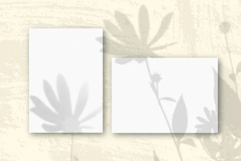 Horizontal and vertical sheets of white textured paper against a yellow wall  Stock Photos