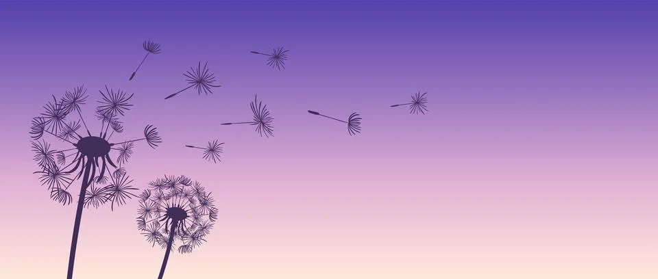 A horizontal background features silhouettes of dandelions and floating see.. Stock Illustration