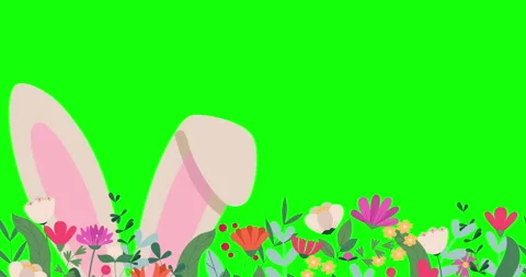 Horizontal banner with a rabbit's ears in grass. Easter spring floral backdrop Vidéo 331437954