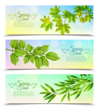 Horizontal Banners Set With Green Branches Stock Illustration