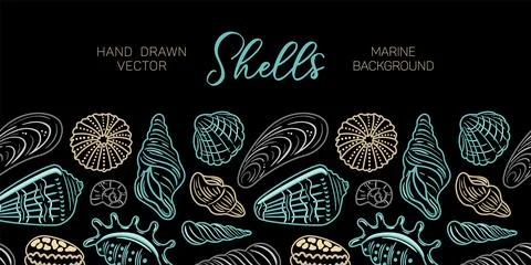 A horizontal border featuring intricate outlined shells against a dark back.. Stock Illustration