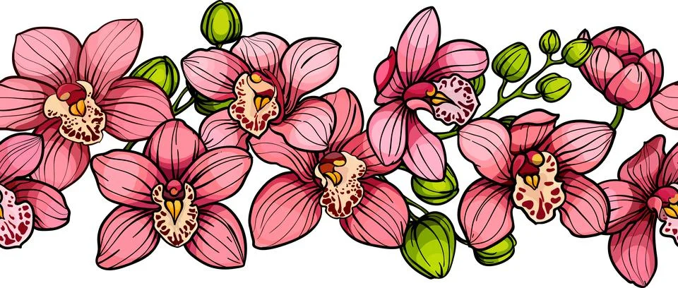 Horizontal border seamless pattern of pink orchid flowers, hand drawn sketch Stock Illustration