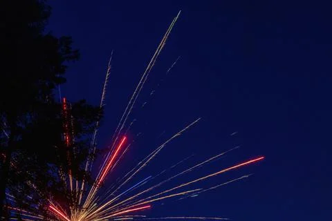 Horizontal bright firework explodes behind pine tree Stock Photos