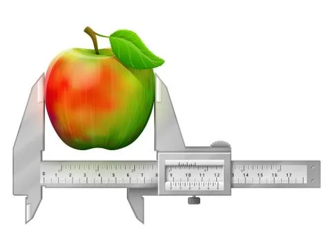 Horizontal caliper measures apple fruit Illustrazione stock