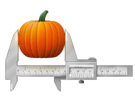 Horizontal caliper measures pumpkin fruit Stock Illustration