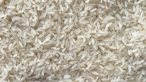 Horizontal camera flyover above raw white rice grains macro texture Stock Footage 336506949