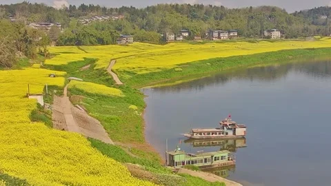 Horizontal Cinematic Layered Depth View of Yellow Fields, River, Boat, and R Video stock 331685950