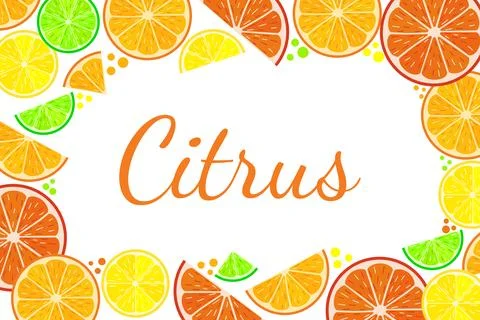 Horizontal citrus fruit border with orange, lemon, lime and grapefruit slic.. Stock Illustration